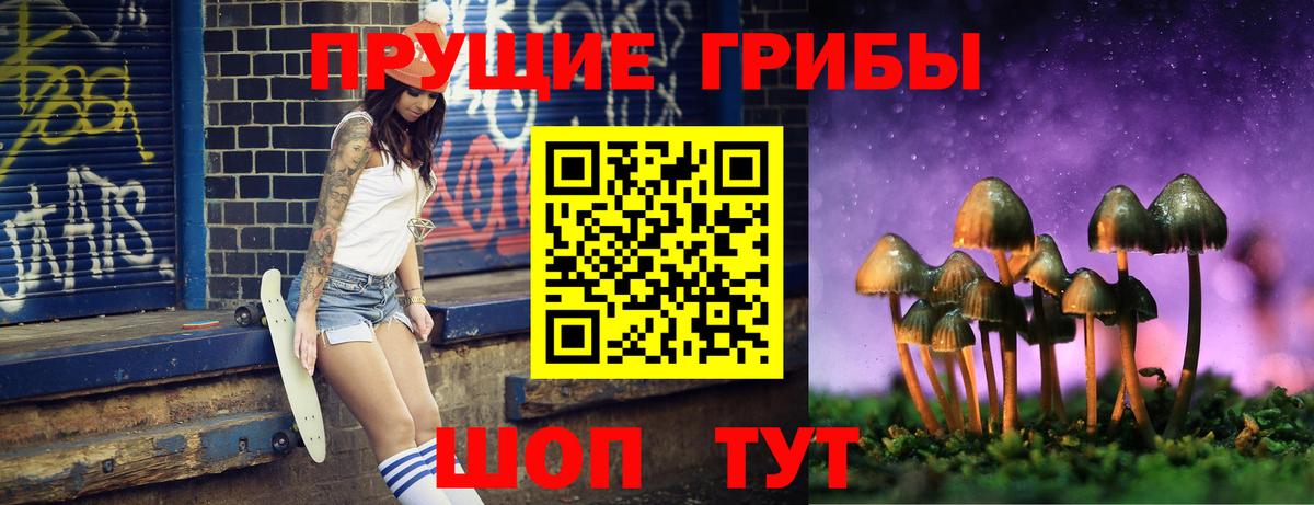 Заволжье  Галлюциногенные грибы GOLDEN TEACHER  Псилоцибиновые грибы мухоморы  Вход с VPN 